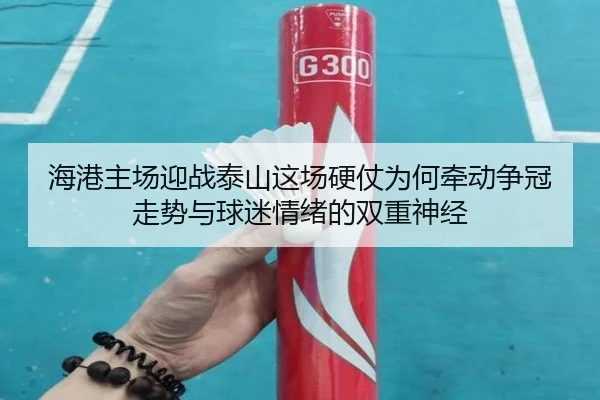 海港主场迎战泰山这场硬仗为何牵动争冠走势与球迷情绪的双重神经
